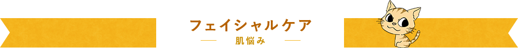 フェイシャルケア―肌悩み